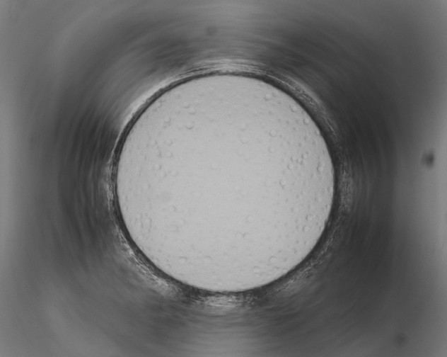 X0000115121182200912081337