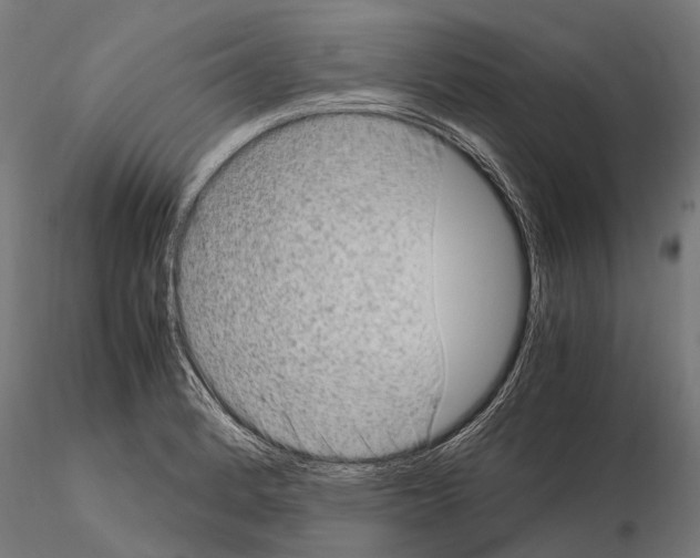 X0000115121184200912081337