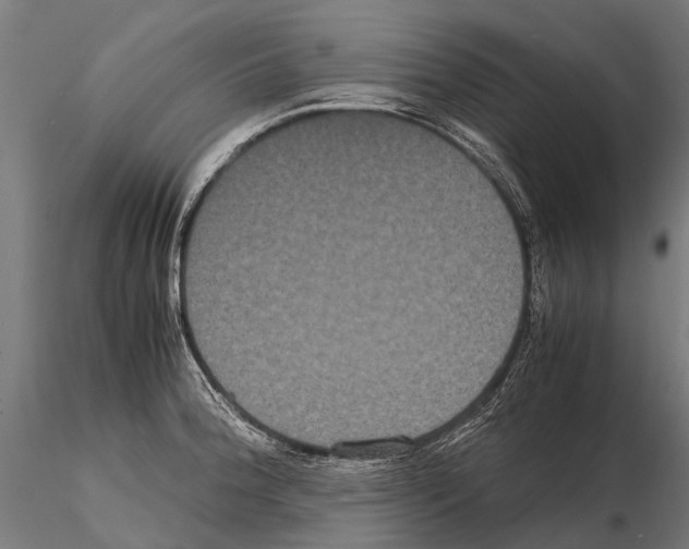 X0000115121188200912081337