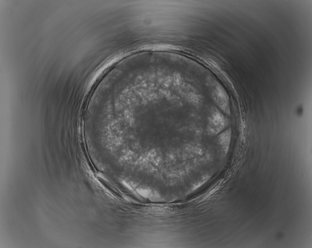 X0000115121189200912081337