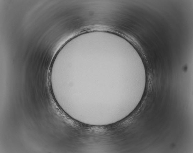 X0000115121190200912081337