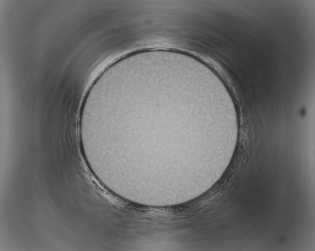 X0000115121191200912081337