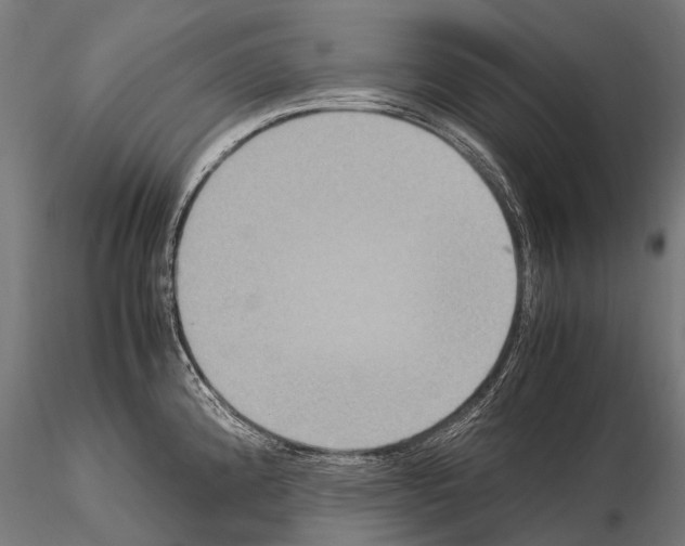 X0000115121192200912081337