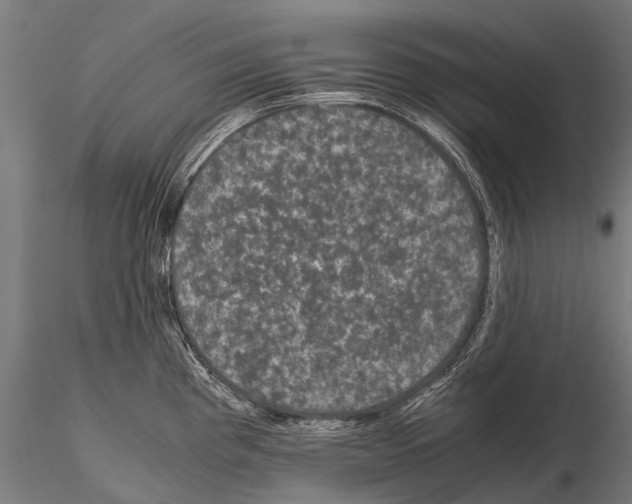 X0000115121193200912081337