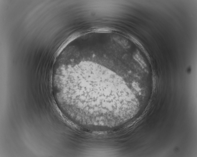 X0000115121194200912081337