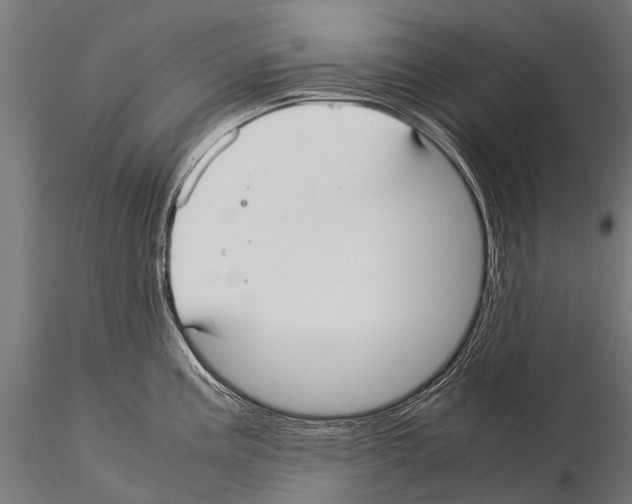 X0000115121195200912081337