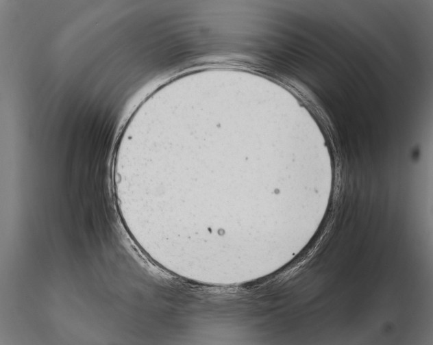 X0000115121196200912081337