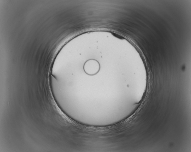 X0000115121197200912081337