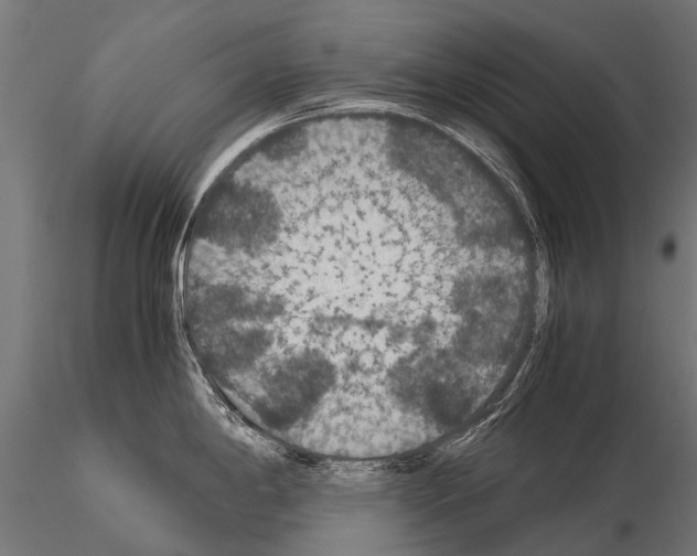 X0000115121198200912081337