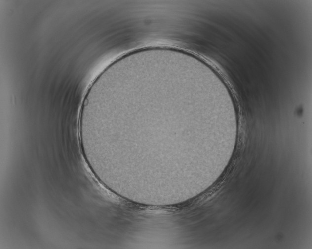 X0000115121199200912081337