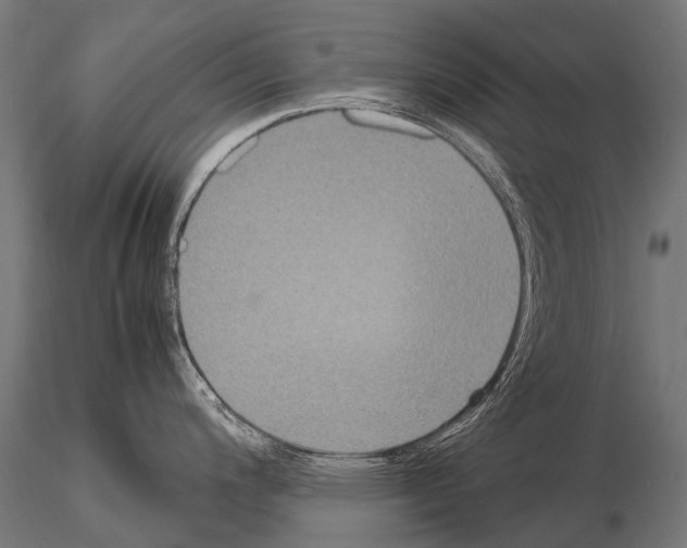 X0000115121200200912081337