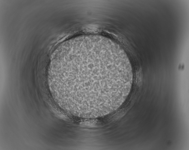 X0000115121201200912081337