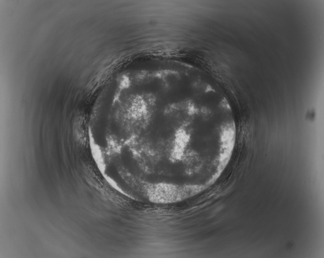 X0000115121202200912081337