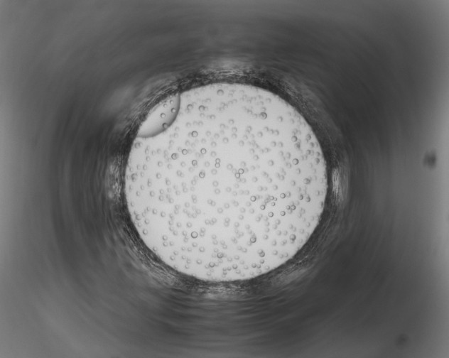 X0000115121203200912081337