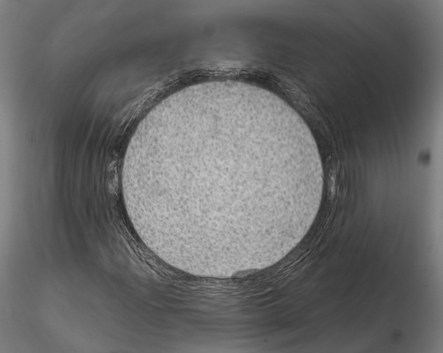 X0000115121204200912081337