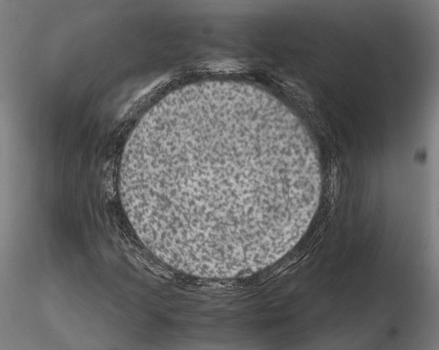 X0000115121205200912081337