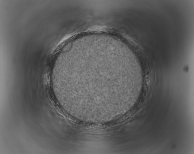 X0000115121206200912081337