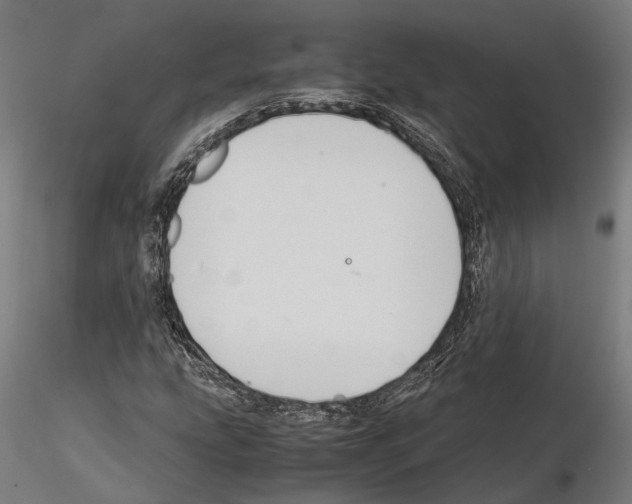 X0000115121207200912081337