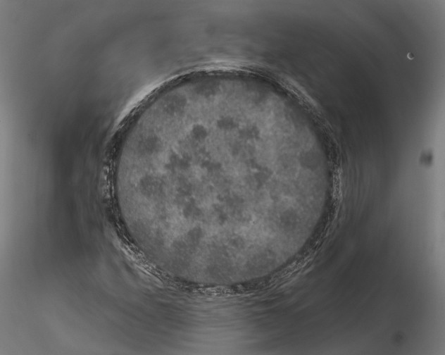 X0000115121208200912081337