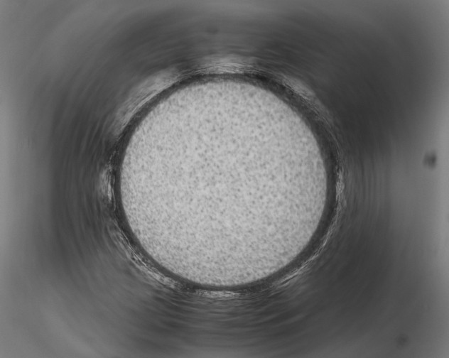 X0000115121209200912081337