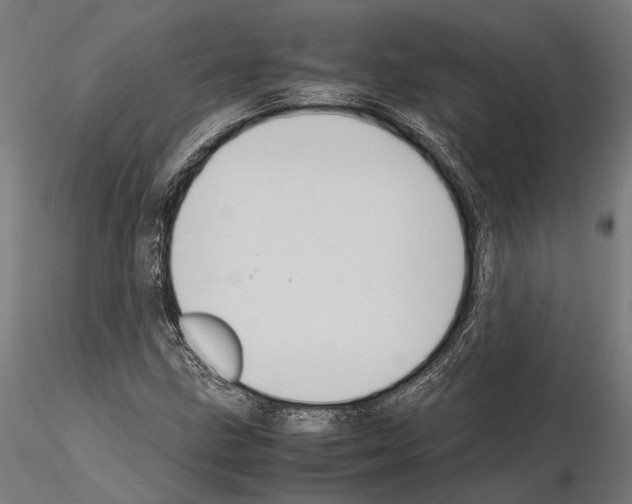 X0000115121211200912081337