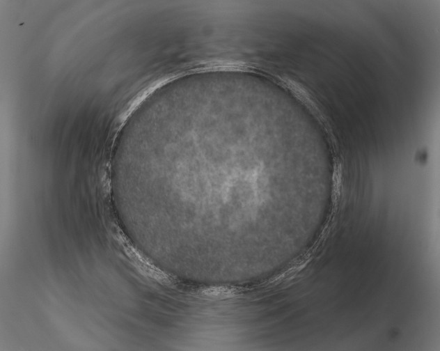 X0000115121212200912081337