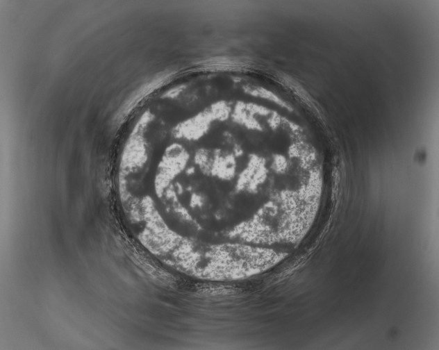 X0000115121213200912081337