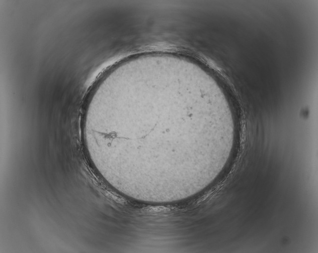 X0000115121214200912081337