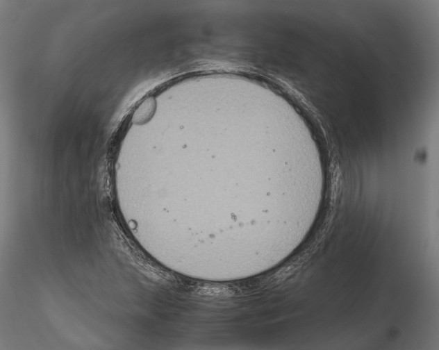 X0000115121215200912081337