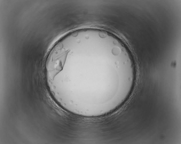 X0000115121216200912081337