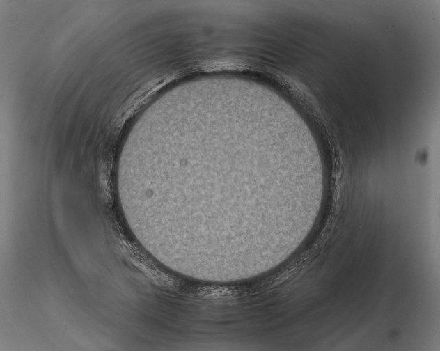 X0000115121217200912081337