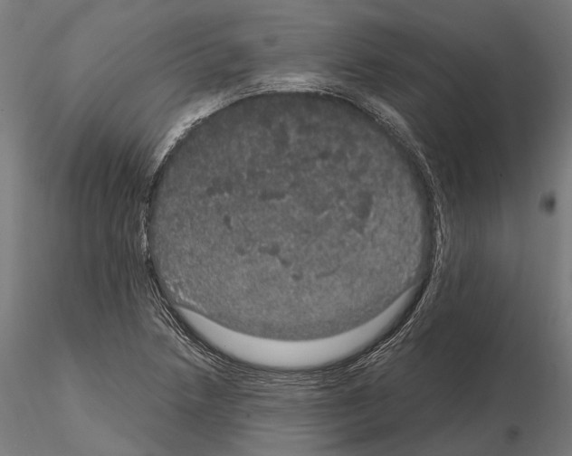 X0000115121218200912081337