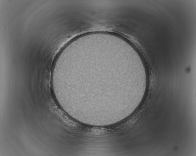 X0000115121220200912081337