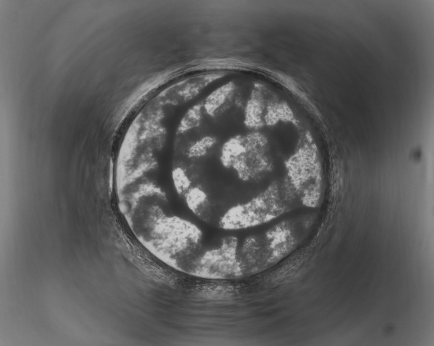 X0000115121221200912081337