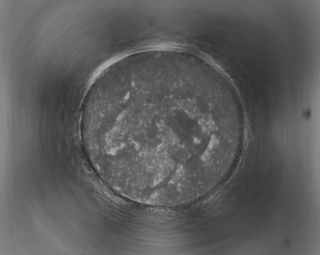 X0000115121222200912081337