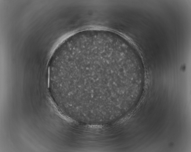 X0000115121223200912081337