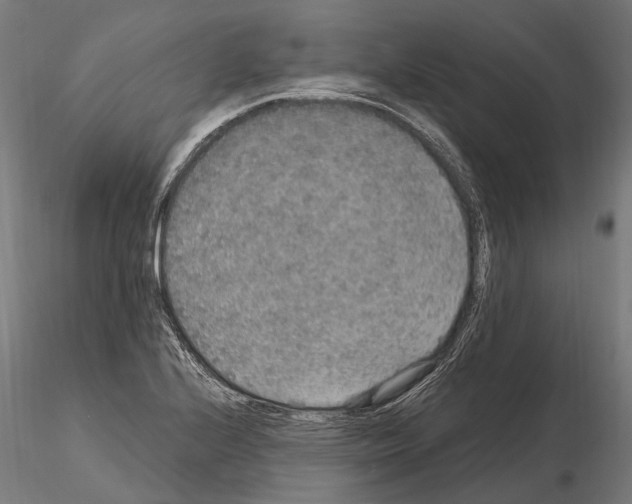 X0000115121224200912081337