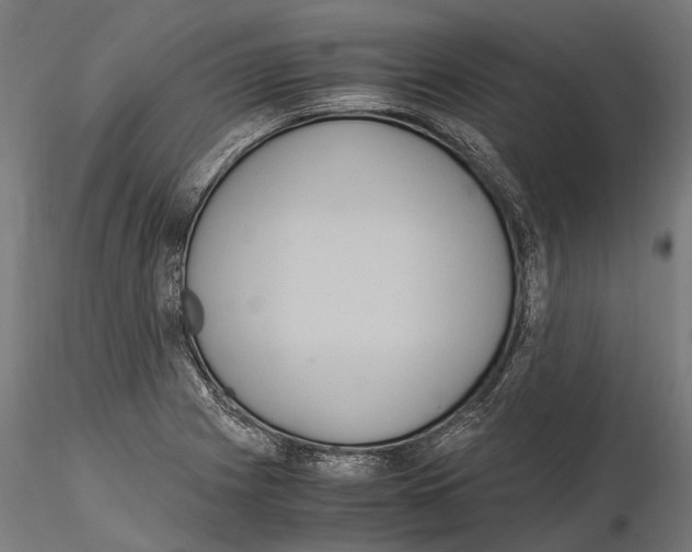 X0000115121225200912081337