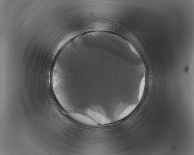 X0000115121226200912081337