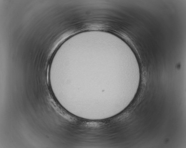 X0000115121227200912081337