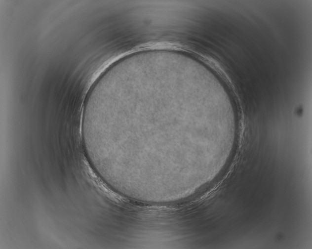 X0000115121228200912081337