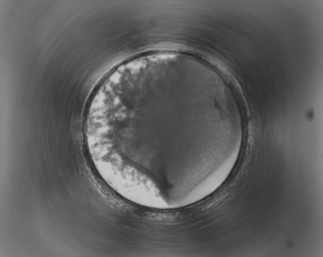 X0000115121229200912081337