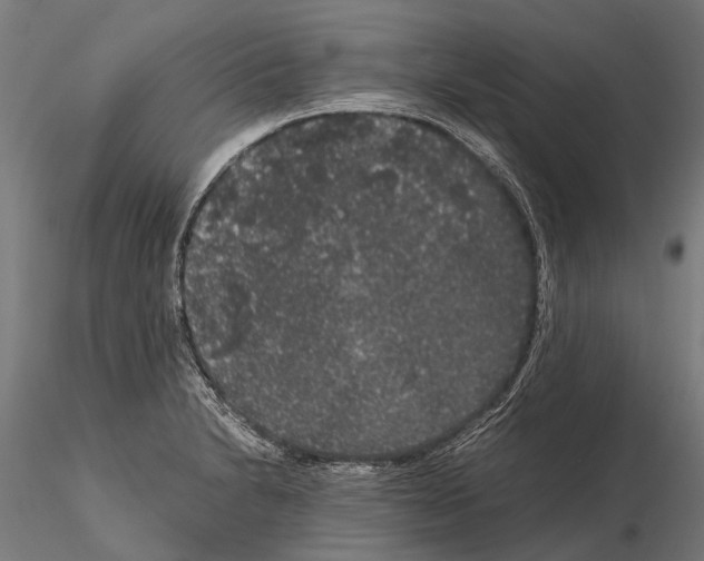 X0000115121230200912081337