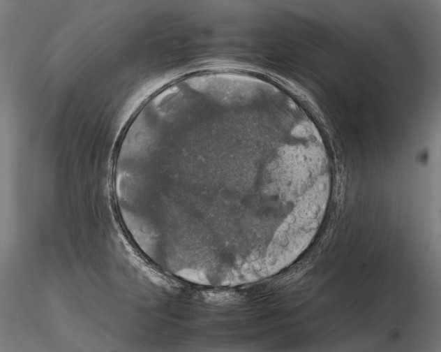 X0000115121231200912081337