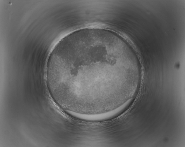 X0000115121232200912081337