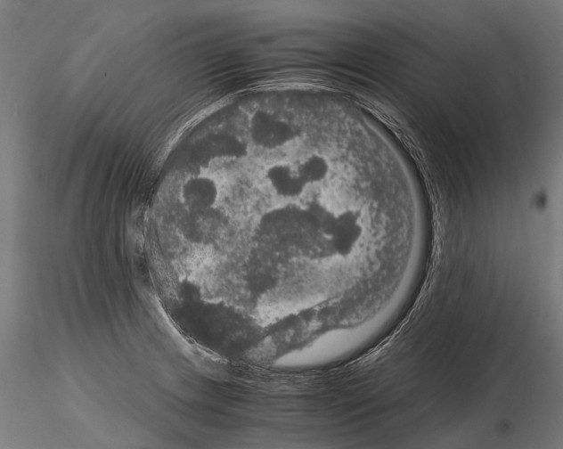 X0000115121233200912081337