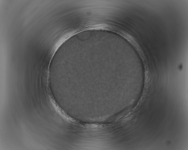 X0000115121234200912081337