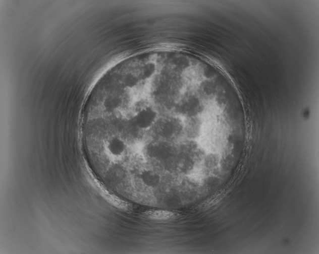 X0000115121235200912081337