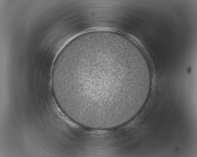 X0000115121236200912081337