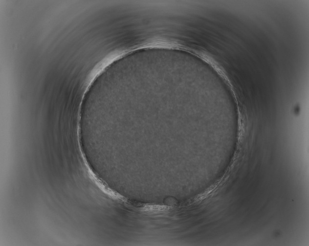 X0000115121237200912081337